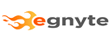 Egnyte