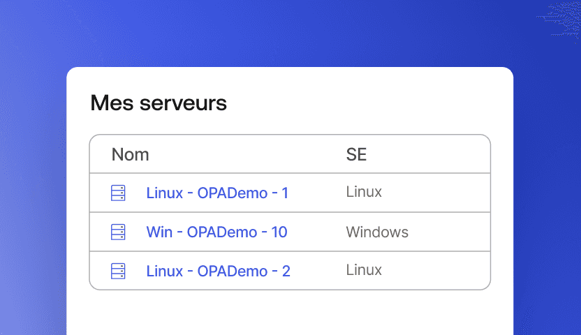A graphic of a list of a user’s servers.