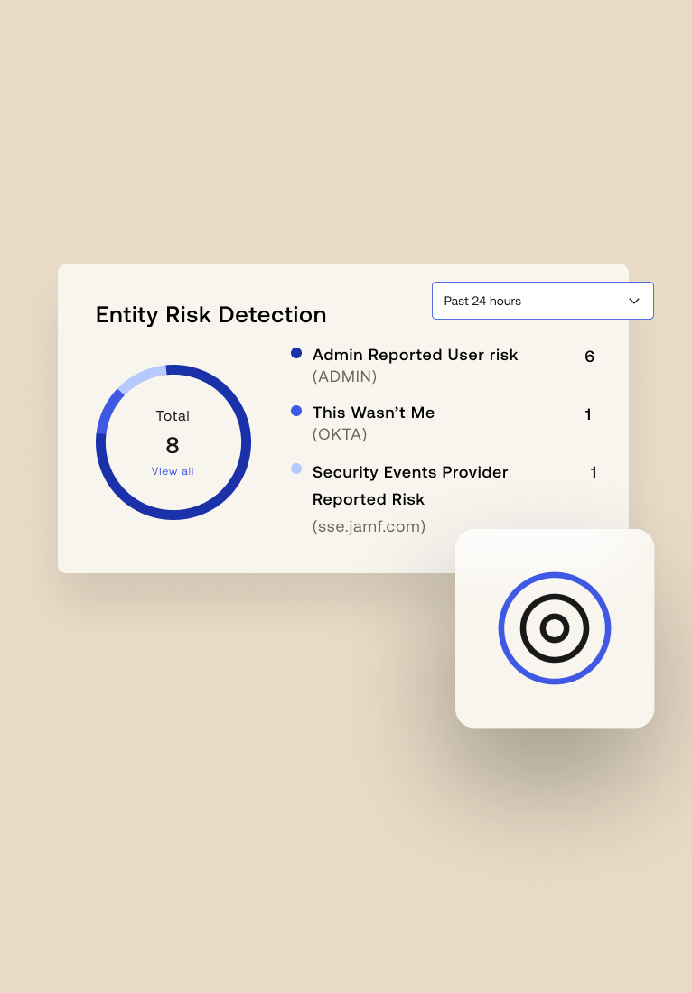 Entity Risk Detection