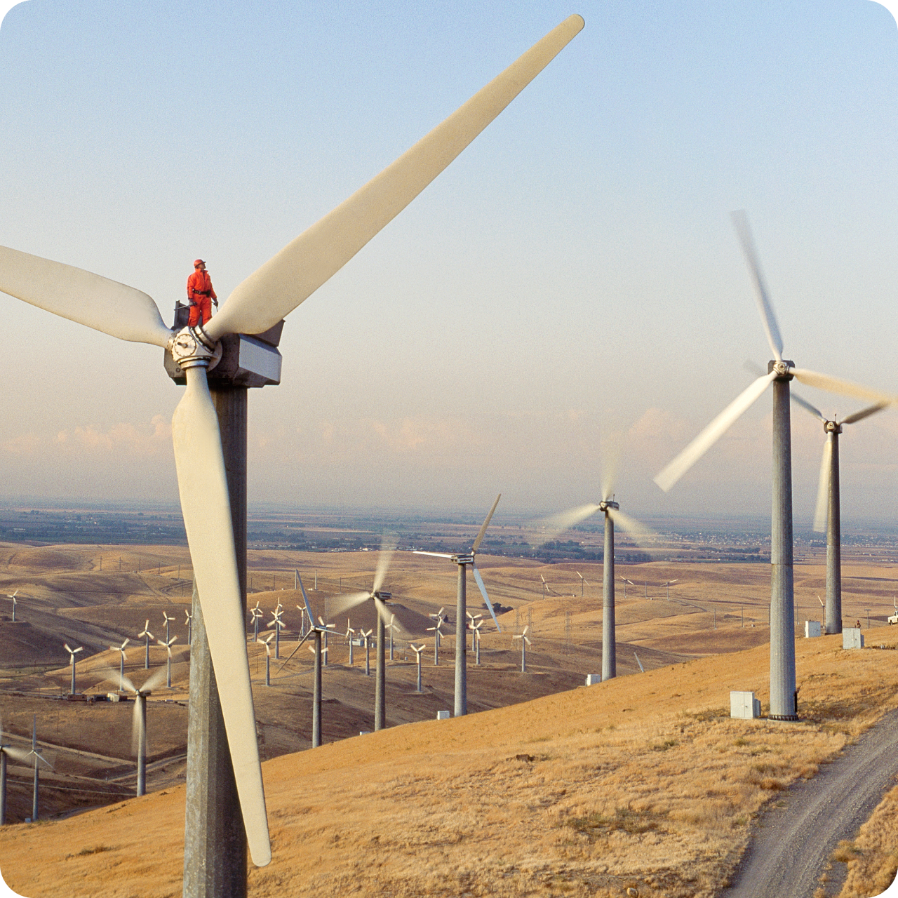 Sustainability commitments