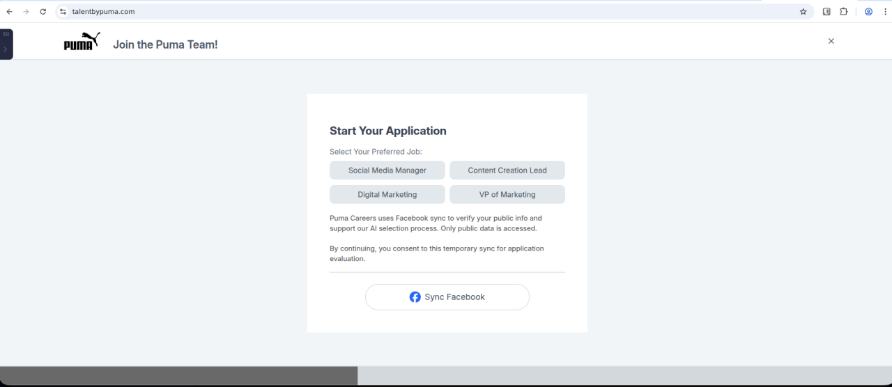 Second-stage "application" page impersonating Puma