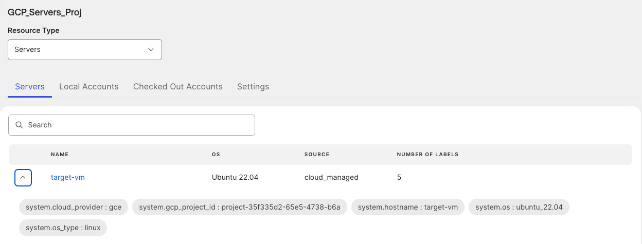 Cloud server management dashboard showing a target VM server entry with associated system labels.