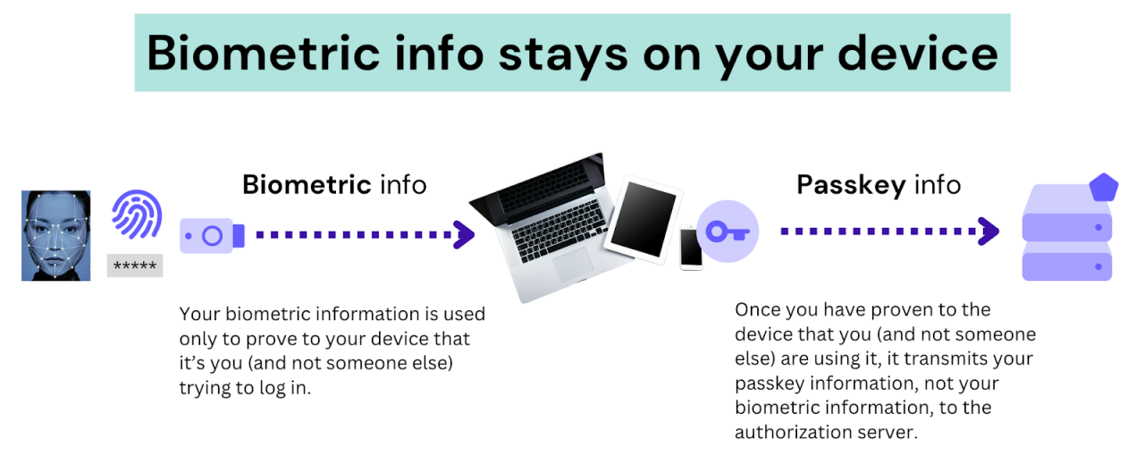An infographic explains how biometric information remains on your device while passkey information is transmitted for authentication. 