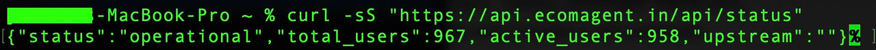 The results of a cURL request via an unauthenticated API route.