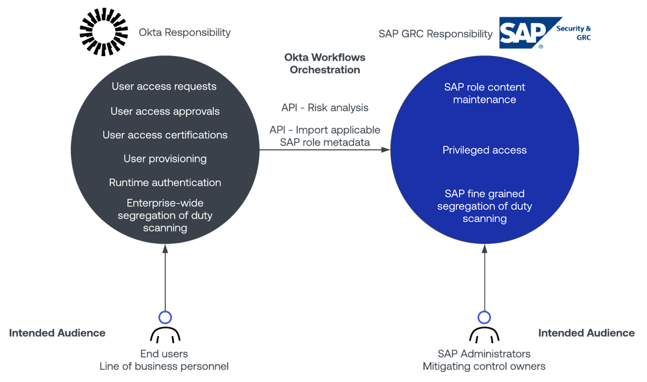 A visual diagram showcasing SAP role content maintenance and user access responsibilities.