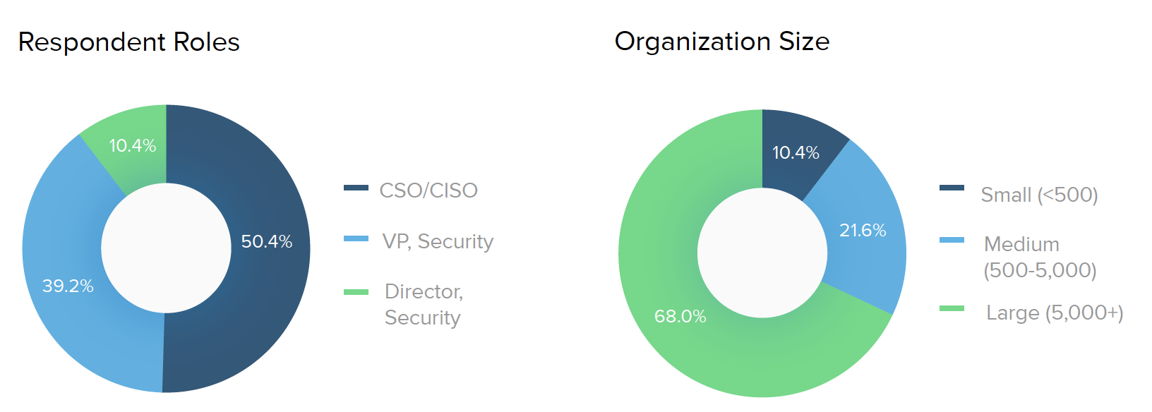 Respondent Roles and Organization Size