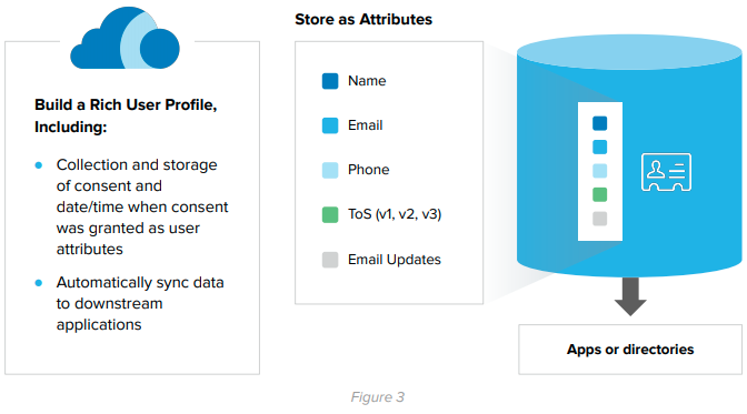 Storing Consent as an Attribute