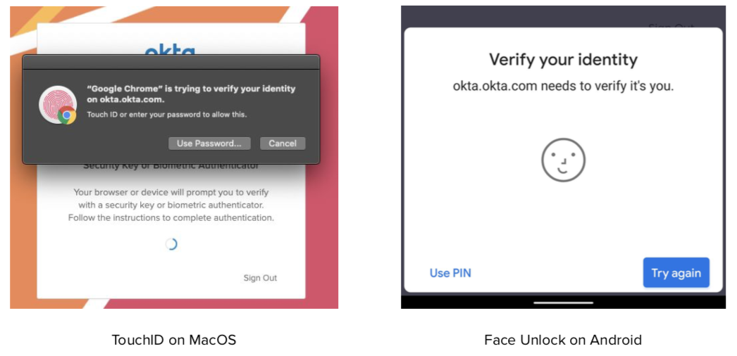 Verify Identity