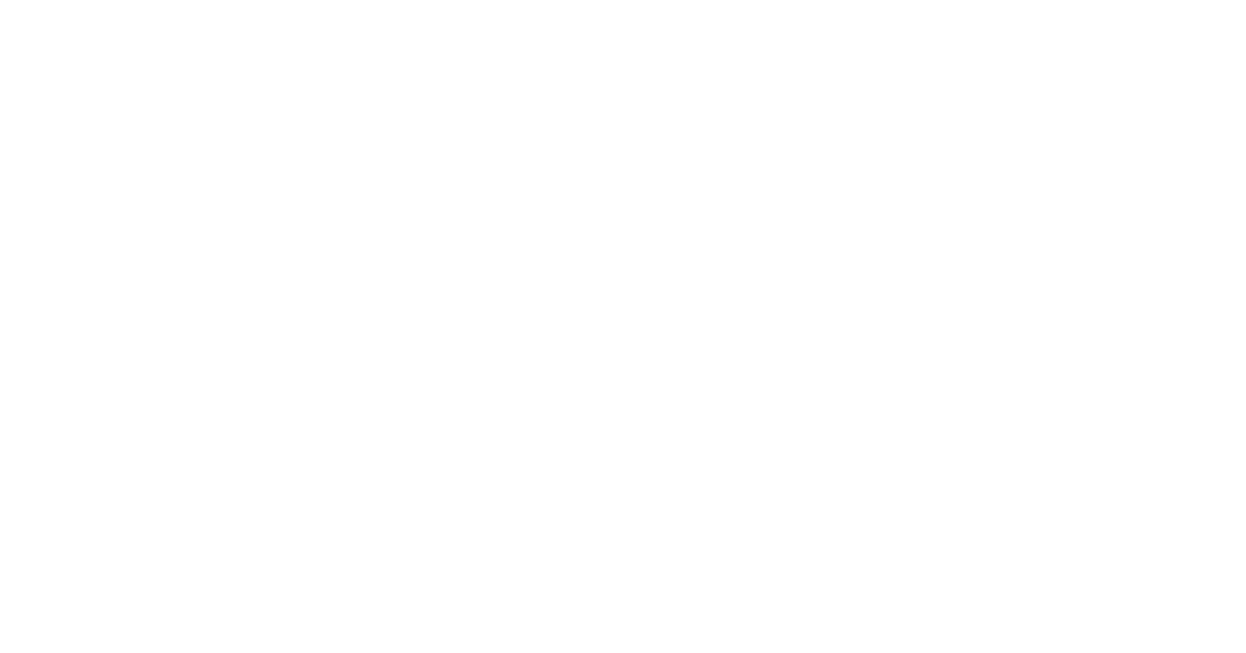 Okta Wordmark White L