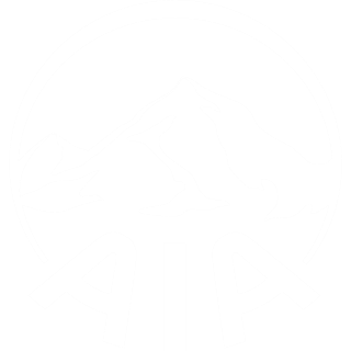 AIA logo white
