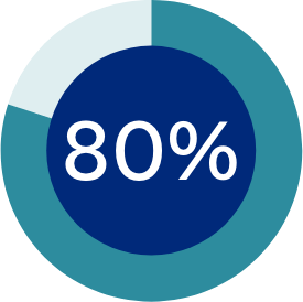 80% Pie Chart