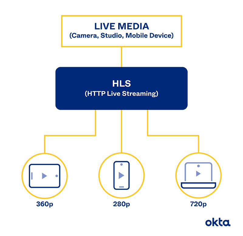 Base Level of a Stream, Definition, Types & Examples - Video & Lesson  Transcript