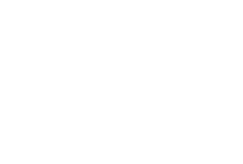 Vinted logo