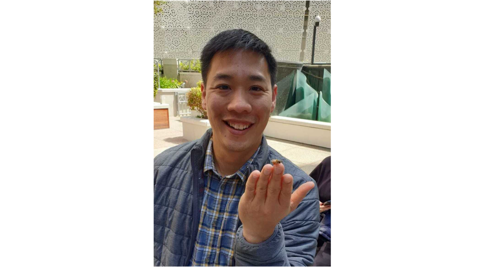 SF Bees
