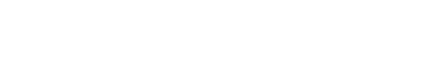 Carahsoft Logo White