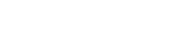 Check Point logo