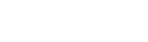 Platinum Accenture Logo White