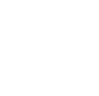 Windows Logo White