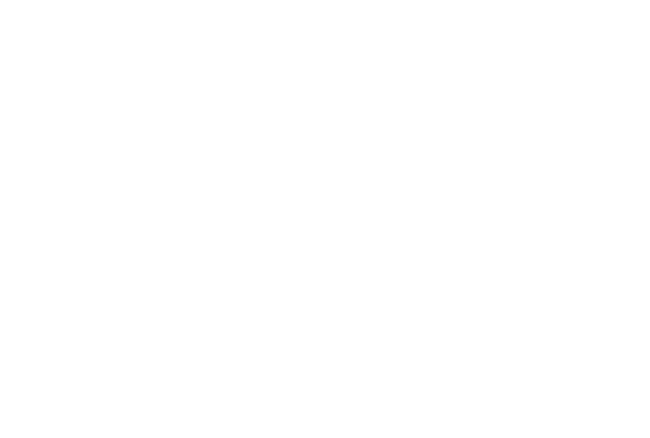 Vinted logo